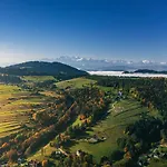 Sloneczny Grywald