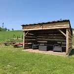 Sloneczny