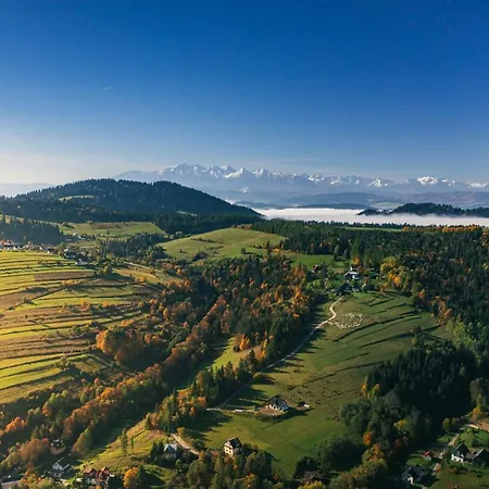 Sloneczny Grywald